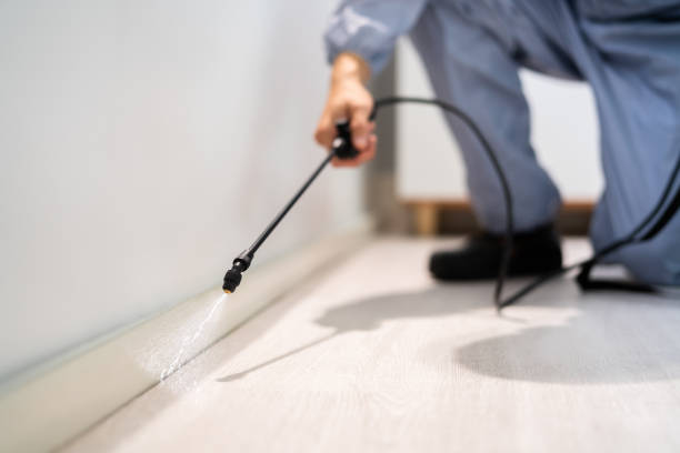 Certified termite inspector examining foundation in Hillview